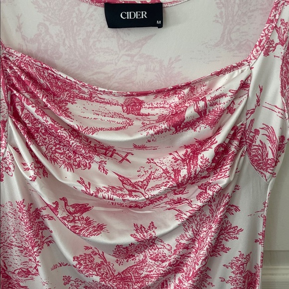 CIDER Toile De Jouy Ruched Mini Dress - Picture 9 of 13